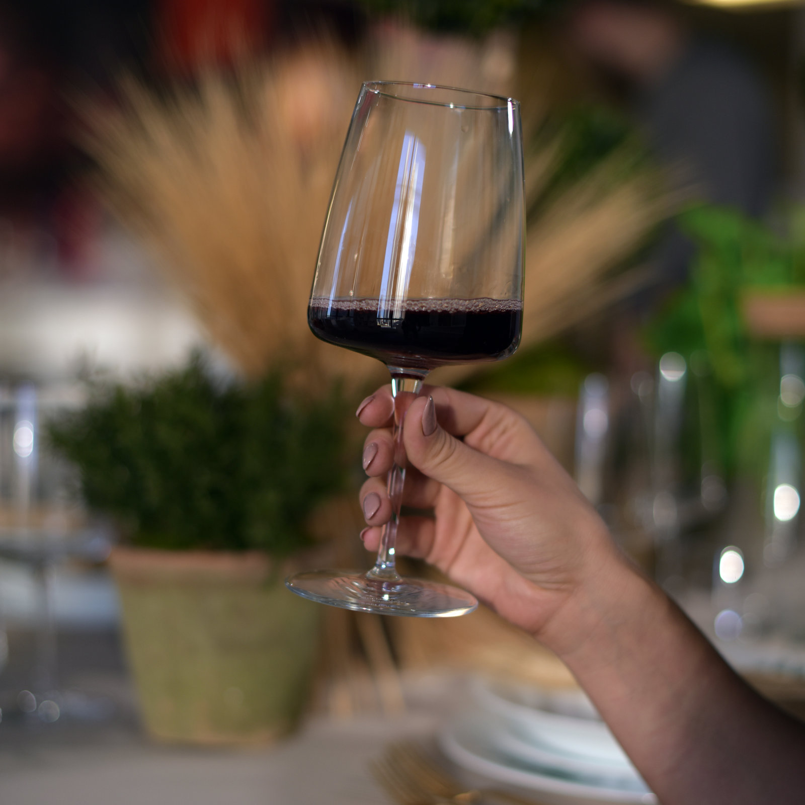 Planeo Red Wine Glass, 18.75 Oz