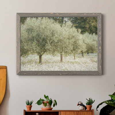 " Paintograph Olive Trees " Painting Print