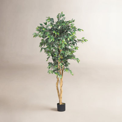 Faux Ficus Tree in Planter
