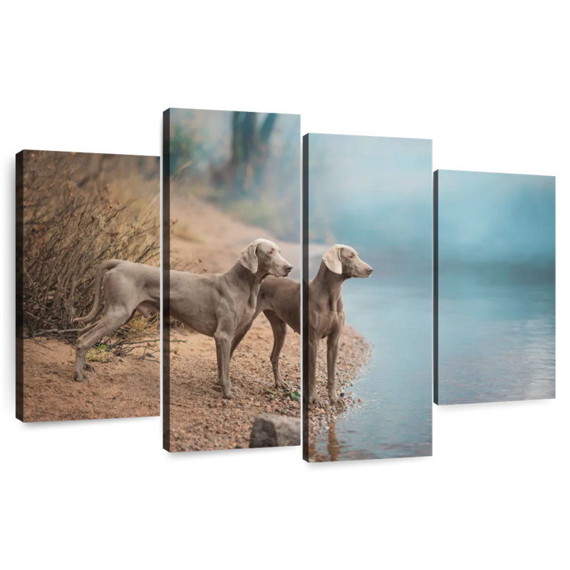 Weimaraner Dogs, 54" H x 84" W