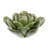 Arciniega Ceramic Desert Flower-569626575-569626574