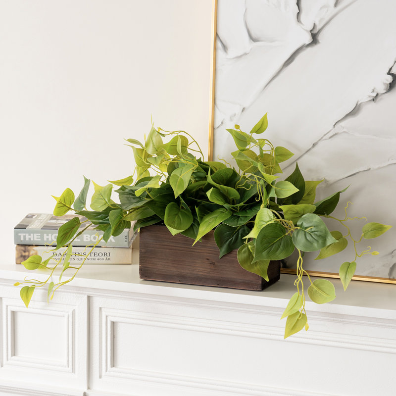 27.9cm Faux Fir Plant