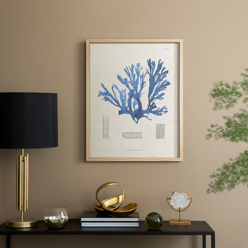 «Blue Marine Algae IX», reproduction encadrée - bois massif, H 11 po x l 9 po