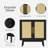 Latish Accent Cabinet-1965005340