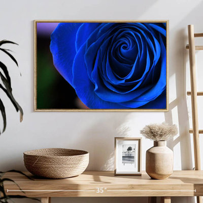 Blue Rose Shrub