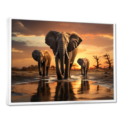 Elephant Shadows of Serenity II - Print