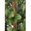 7.22' H Artificial Christmas Tree