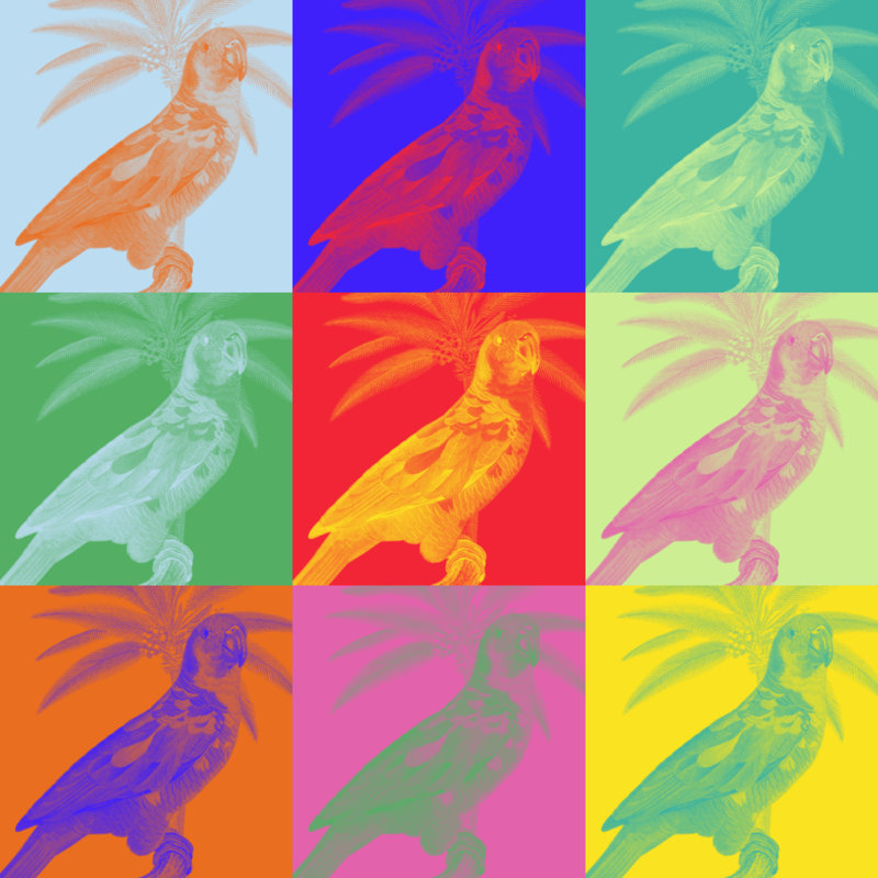 Parrot Party II 1 Piece Wrapped Canvas Painting, 76cm H x 76cm W