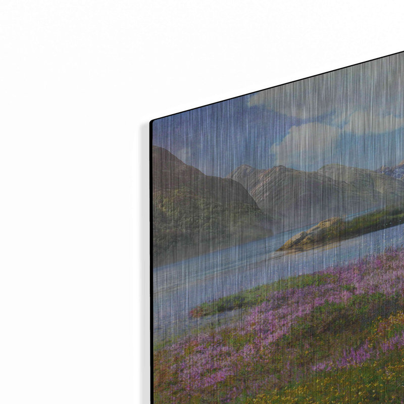 «Heather Écosse» par Chris Vest - impression sans cadre sur métal, H 24 po x l 36 po x P 0,13 po