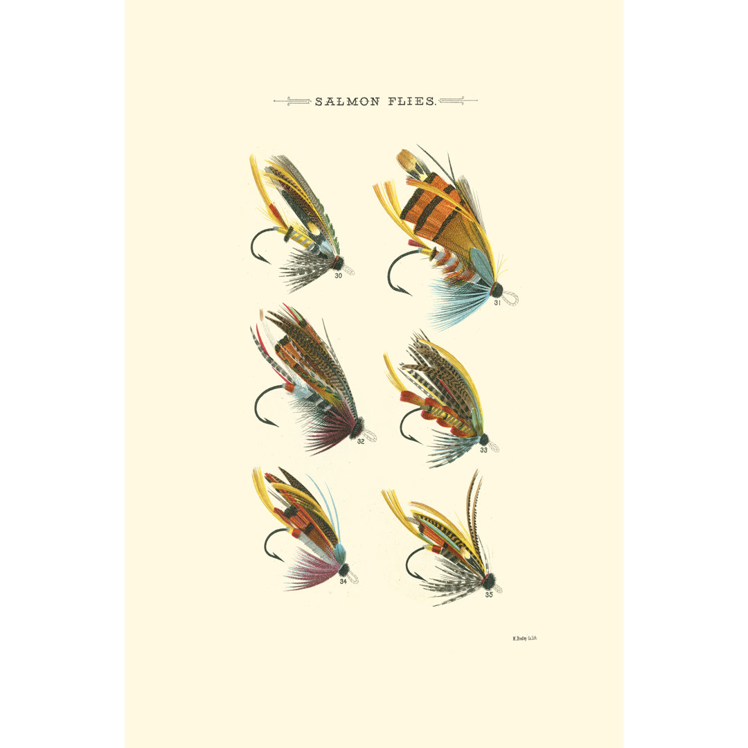 Salmon Flies II by Vision Studio - Wrapped Canvas Art Prints