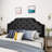 Contemporary Queen & Full Sized Headboard - Black Velvet With Button Diamond Stitch And Appealing Nailhead Border, Assembly Needed Modern Gorgeous Details, Required-2124945175-2124945176