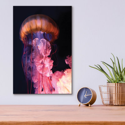 " Gelly " by PhotoINC Studio