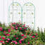 71 treillis de jardin en métal 71 po x 19,7 po, support de fleurs d'extérieur rouille, assemblage facile, fabrication, pour jasmin, concombre, vignes de pois, paquet de treillis 71 po x 19,7 po, plantes antirouille, structure, matinée