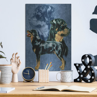" Rottweiller " by Barbara Keith