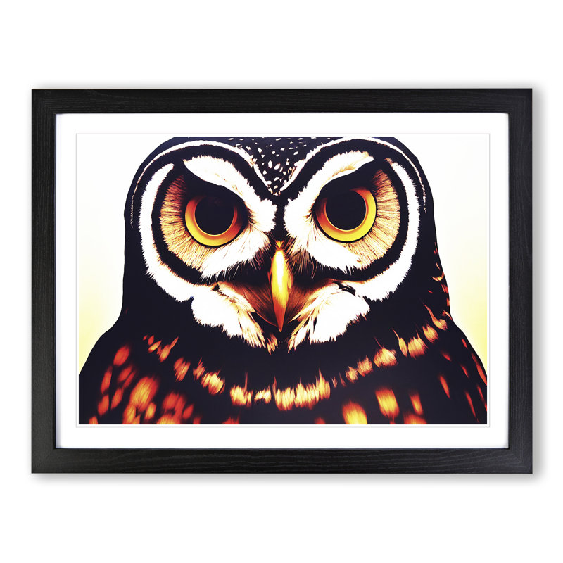 Explosive Owl - Single Picture Frame Print, Black Framed, 34cm H x 46cm W x 2cm D