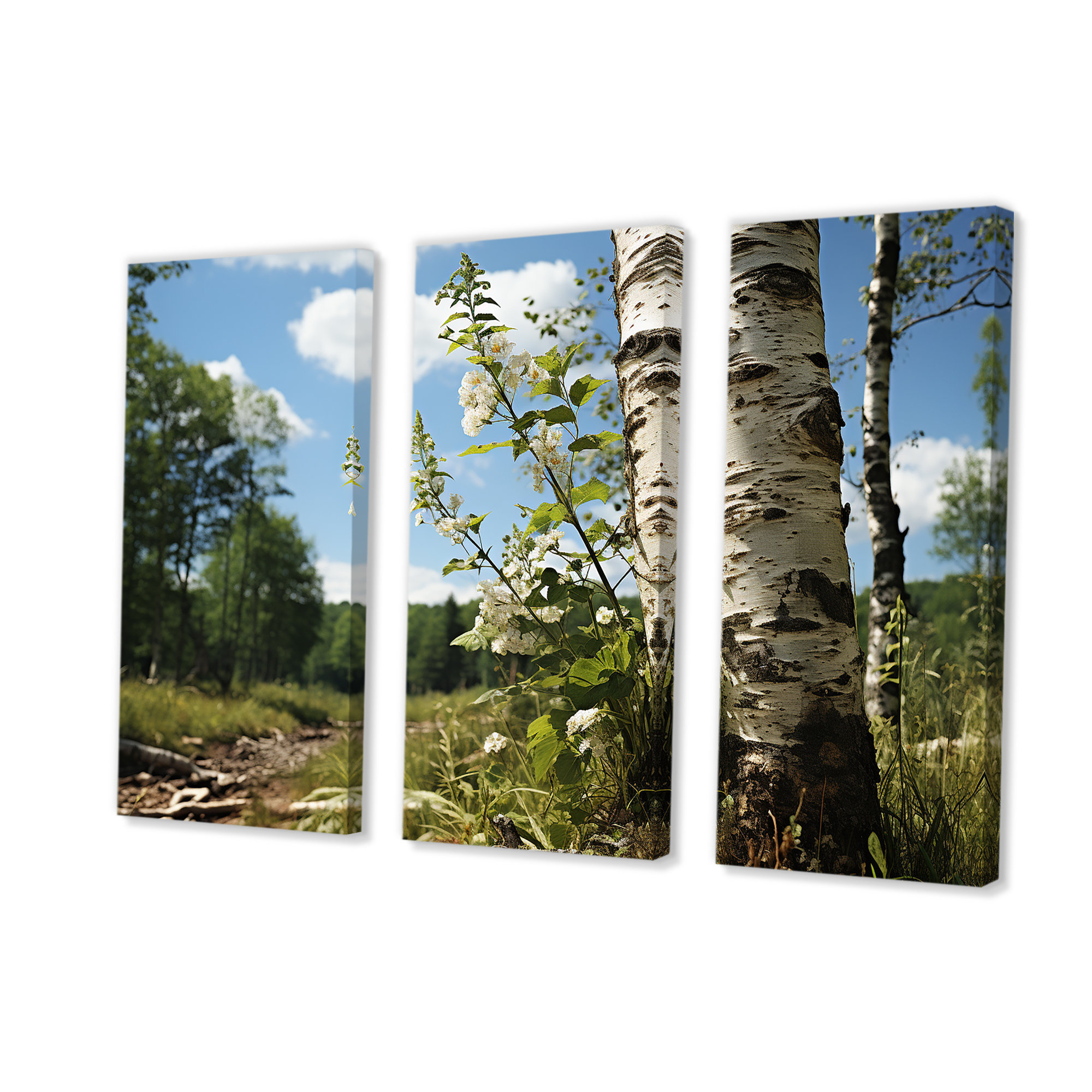 Millwood Pines Birch Tree Forest Essence 3 - Tree Wall Art | Wayfair