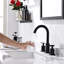 2-handle Bathroom Faucet with Drain Assembly-61752830