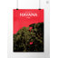 Havana City Map - No Frame Print-1282279160