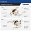 Levier d'intimité transitionnel Brinks Raleigh-104434744