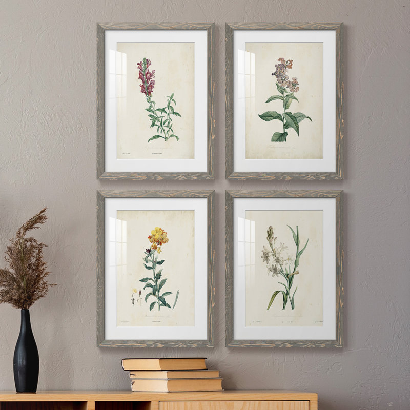 Traditional Botanical I - Ensemble de 4 peintures encadrées, Encadré gris, H 24 po x l 72 po x P 1,5 po