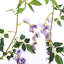 2pcs Lifelike Hanging Wisteria Flowers Garland-1241801212
