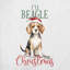 01_beagle Coussin décoratif-457784765