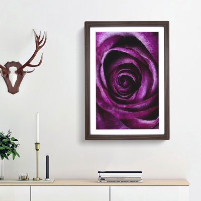Striking Purple Rose Painting - Picture Frame Graphic Art
