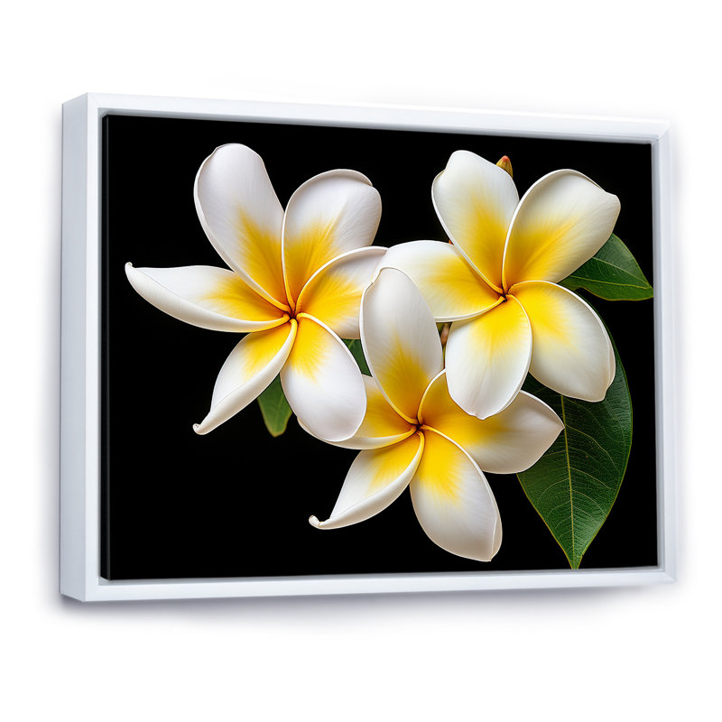 " Dreamscape Plumerias Purity ", 16" H x 32" W x 1" D, White Floater Frame