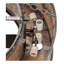 Mission Downrod Ceiling Fan