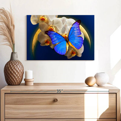 Papillon Morpho au clair de lune