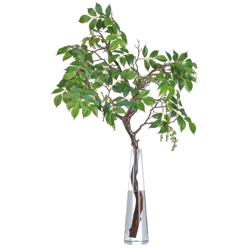 Branche de cendres de montagne dans un grand vase en verre vert clair