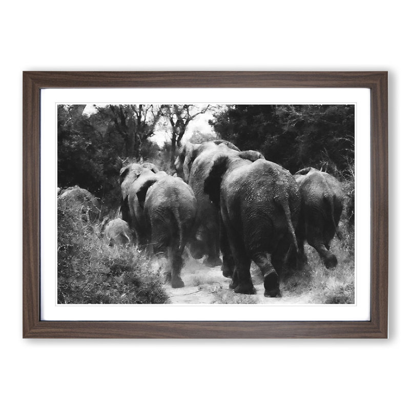 Herd of Elephants - Framed Print, 48cm H x 65cm W x 2cm D, Walnut Framed