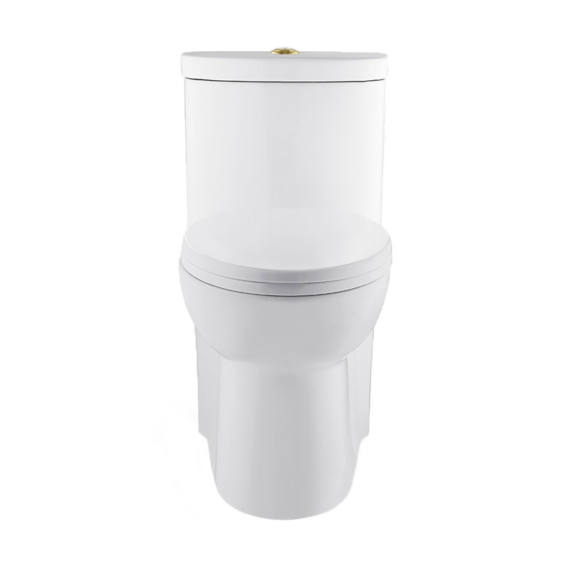 Sublime One Piece Elongated Toilet Dual Flush, Gold/White