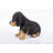 Dachshund Puppy Statue