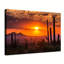 Cactus coucher de soleil, affiche d'art-675755169
