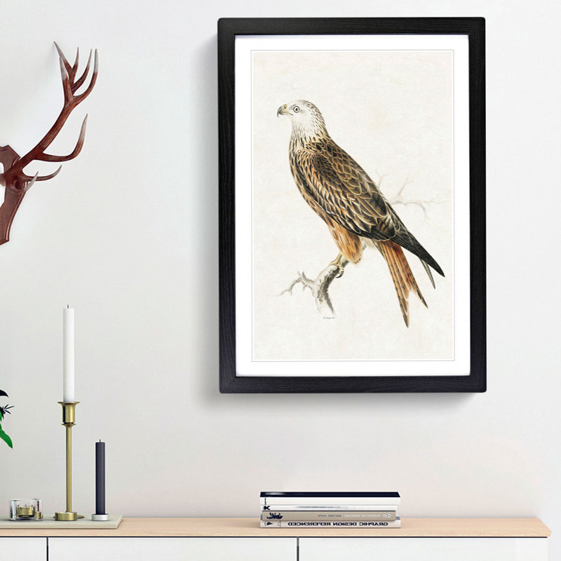 Red Kite by Von Wright - Picture Frame Painting Print, Black Framed, 36cm H x 27cm W x 2cm D