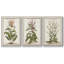 «Munting Botanicals I», ensemble de 3 reproductions encadrées sur toile-97708484-97708487