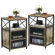 Kempst Nightstand Set 2, Small Bedside Table with Drawers, Narrow Side End Table with Open Shelf, 2 Drawer Dresser for Bedroom/Living Room/Dorms