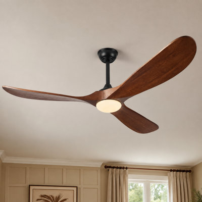 Orren Ellis 3 - Blade LED Propeller Ceiling Fan with Remote Control and Light Kit Included