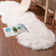 Vannak Indoor Rug