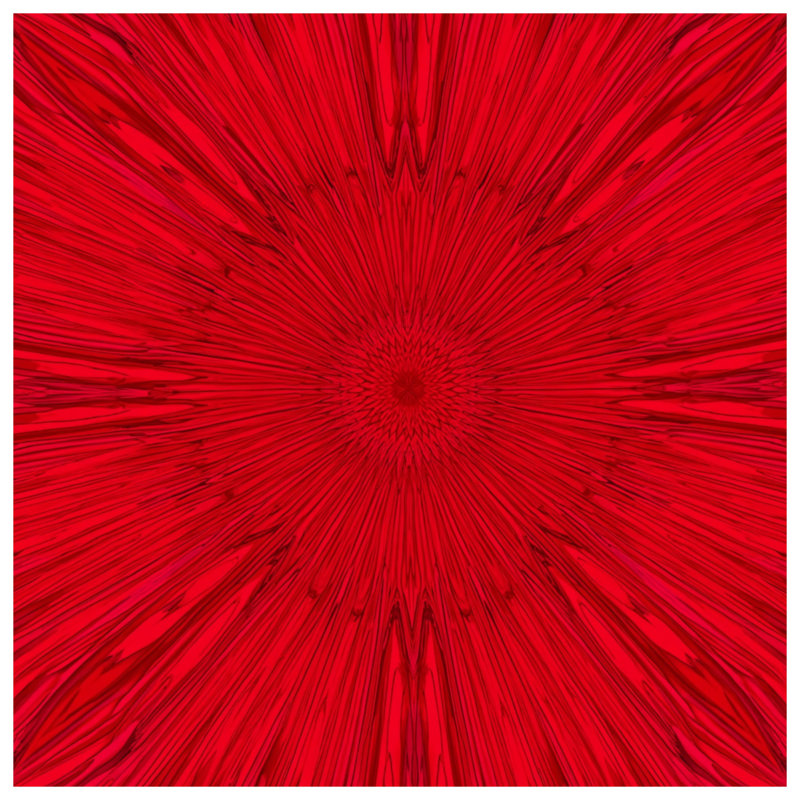 Rideaux de douche Red Radial Burst, L 70 po x H 72 po