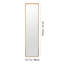 Rectangle Floor Mirror-829435657