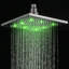 Wellman Rain Adjustable Shower Head-833624622