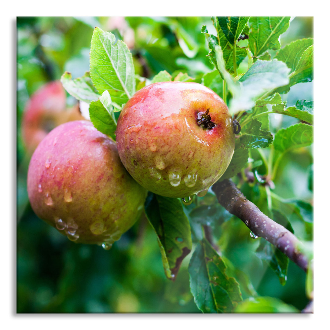 Ungerahmtes Foto auf Glas "Delicious Wild Apple"