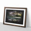 Mountain Beauty - Picture Frame Graphic Art Print-56862280-56862283