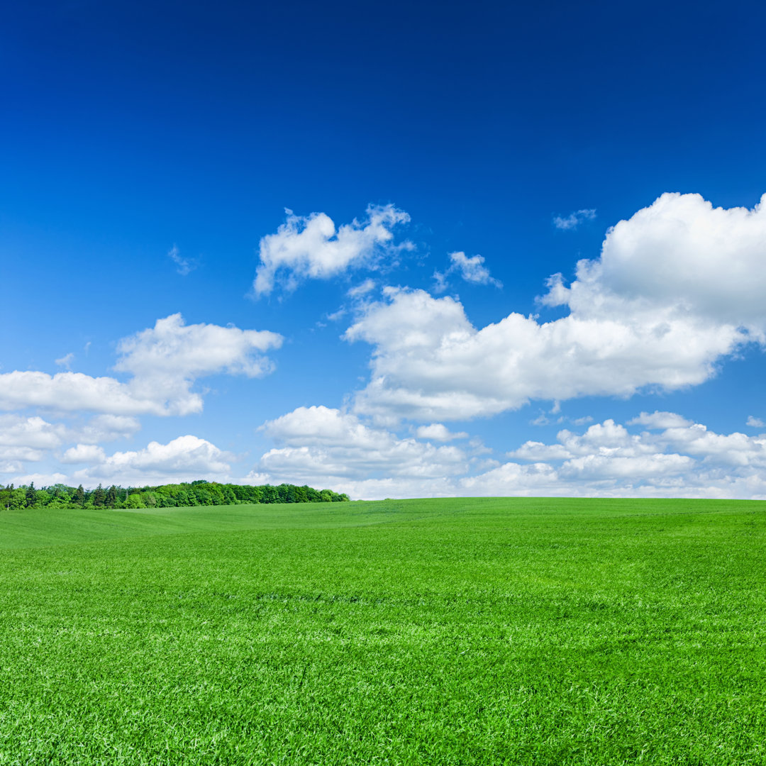 Quadratische Frühlingslandschaft von Hadynyah - Ohne Rahmen auf Leinwand