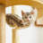 70.9 Inch Multi-Level Plush Large Cat Tree With Scratching Posts And Condo For Indoor Cats