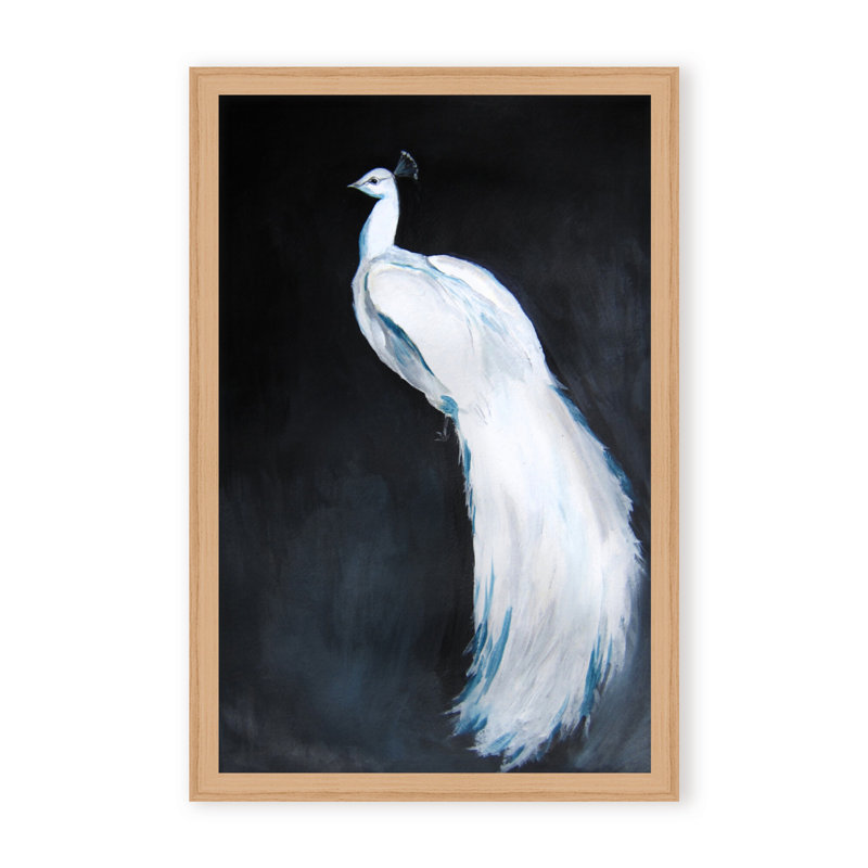 Nature Inspired Alabaster Majesty: White Peacock Against The Night, Framed Matted Print, 30" H x 24" W x 1.125" D, White