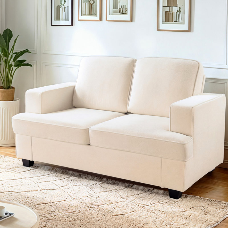 Velours confortable - siège profond avec mousse haute, accoudoirs larges pour le salon et le bureau, canapé 2 places, coussins de dossier amovibles, conception avec accoudoirs
