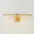 23.6''  Dimmable LED Brass Hardwired Picture Light-695158460